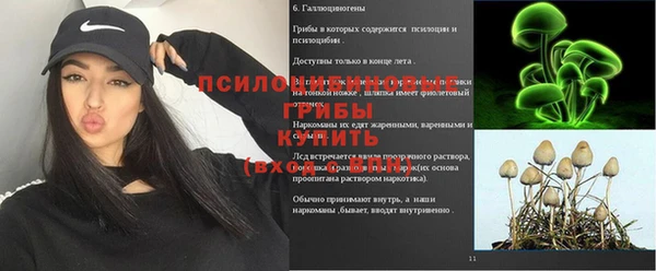 трава Рославль