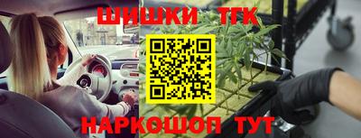 Альфа ПВП Будённовск